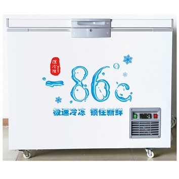 Sausā ledus konteiners